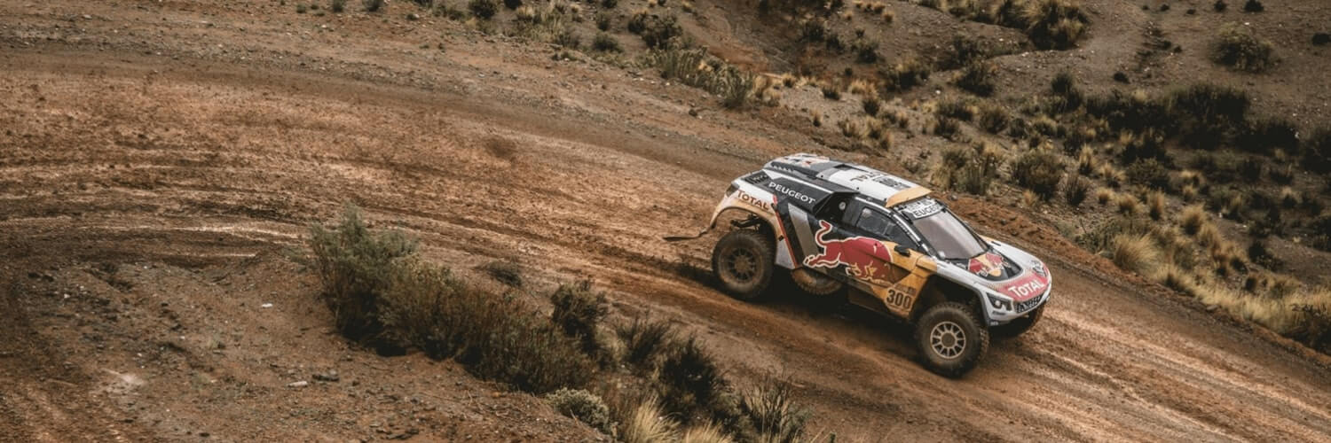 Red bull rally car